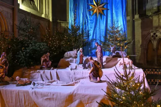 {{brizy_dc_image_alt imageSrc=